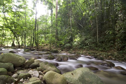 natural green waterfall