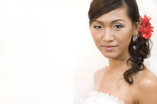 asian bride with isolated white background