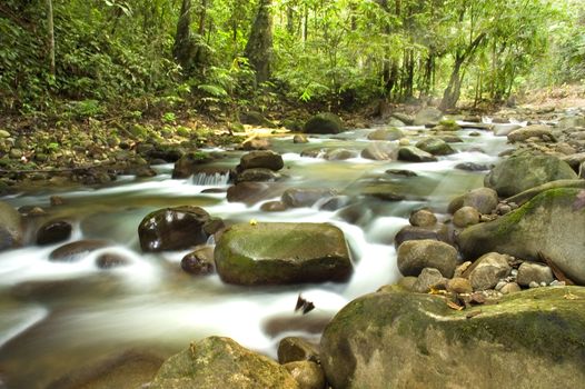 natural green waterfall