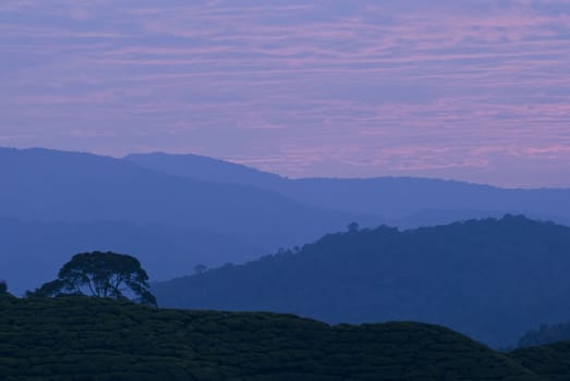 mountain range early in the morning