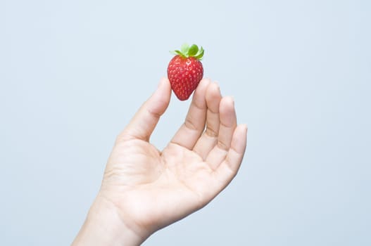 an asian hand holding a single strawberry