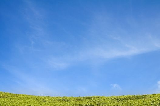 blank green field with blue sky for advertising purpose