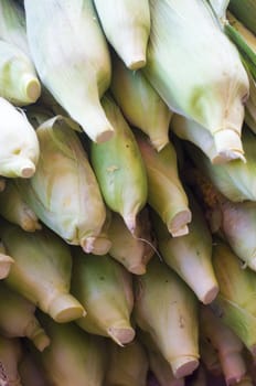 stack of corn for sale in the market