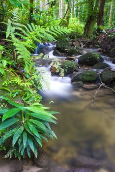 natural green waterfall