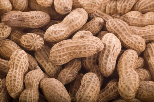 close up shot of peanuts