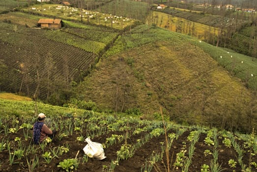 traditional farmer having a rest after a hard day work