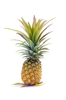 isolated pineapple with white background