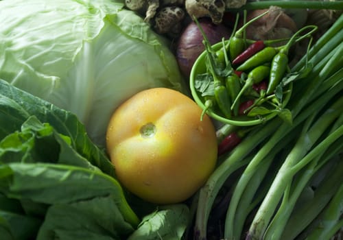 close up shot of various tropical vegetables