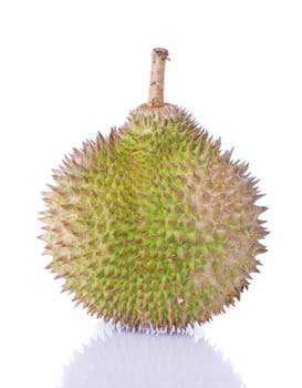 close up shot of durian isolated in white 