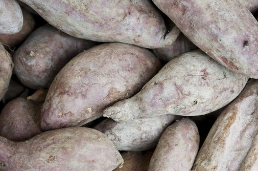 sweet potatoes for sale on the market