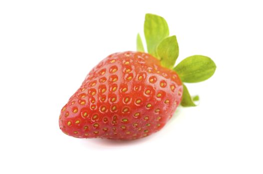 macro shot of single strawberry fruit with isolated white background 