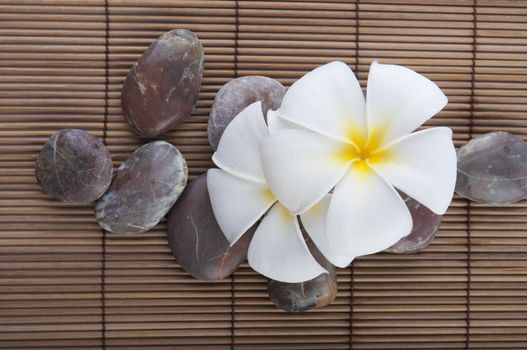 tropical spa with frangipani flowers