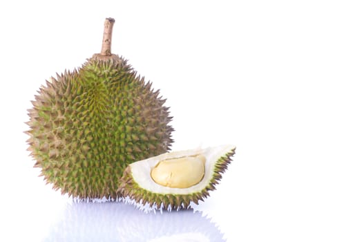 tropical fruit durian with white background