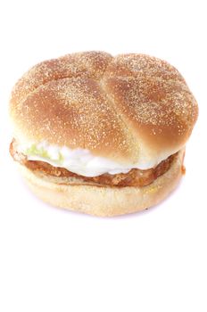 isolated close up photo of a single fish burger