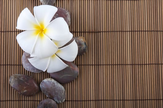 tropical spa with frangipani flowers