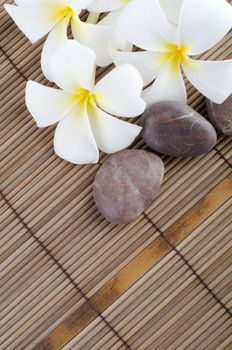 tropical spa with frangipani flowers