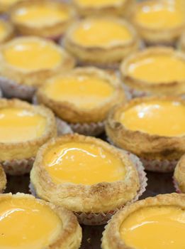 close up shot of egg tarts in lines