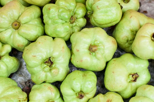 fresh guavas for sale in the market