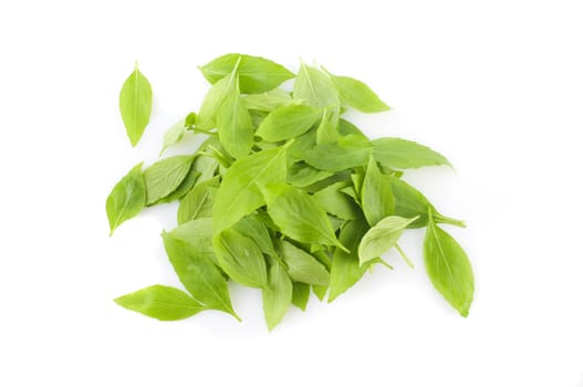 a bunch of basil leaf with white background 