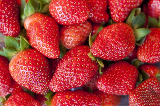 fresh strawberry for sale in the market