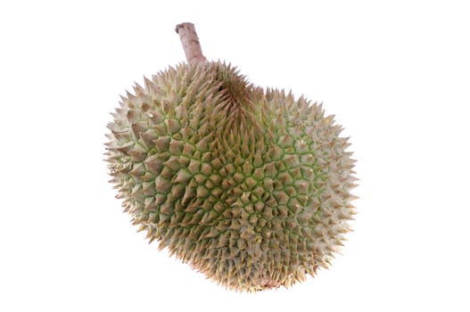 durian isolated in white background