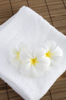 frangipani with towel spa concept