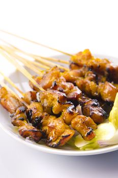 famous food, malaysian satay close up
