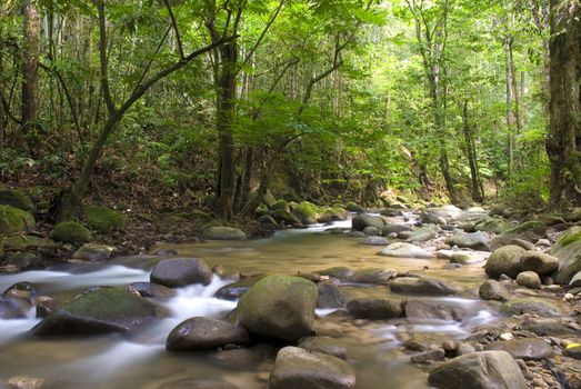 natural green waterfall