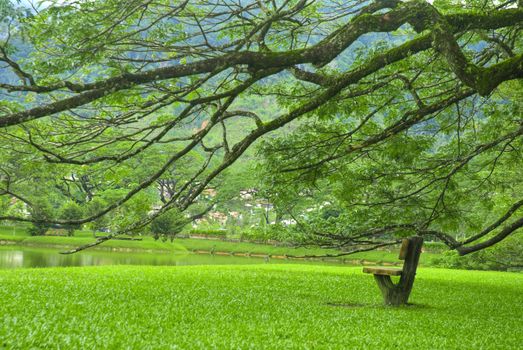 lake garden landmark in taiping,perak malaysia