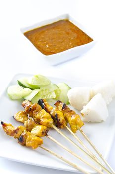 Delicious Asian Cuisine Chicken Satay
