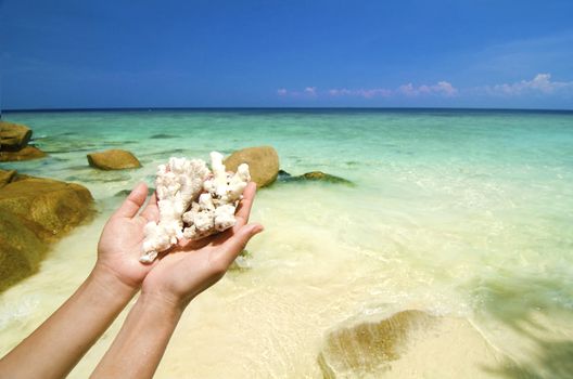 hand holding corals on beautiful lang tengah beach, malaysia