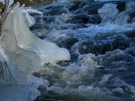           Brook is covered by icicles and water flows under them with a big strem