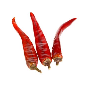 Three dried red hot chili peppers isolated against a white background