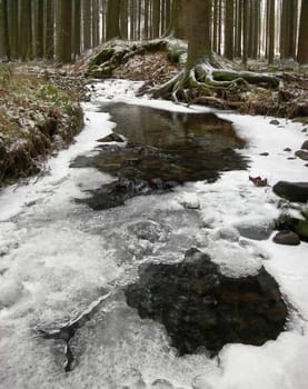 River is covered by icicles and water flows under them with its stream  