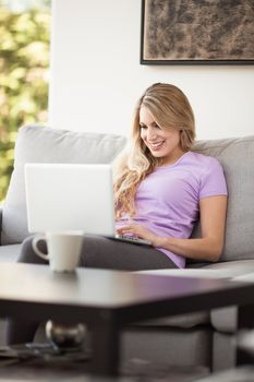 young beautiful woman using a laptop computer at home