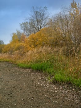 Autumn landscape with ploughed field and trees 