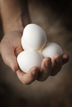 Man holding white eggs in his hand. Very short depth-of-field.