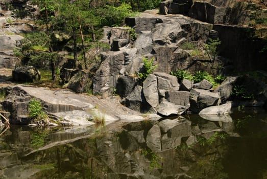 Old flooded quarry with calm water and growing trees