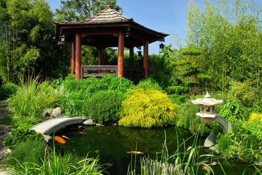 Beautiful Japanese garden with many plant pecies and water pond where you can see koi fish