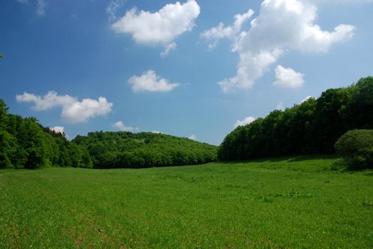 Green meadow between two forest in Tatras, Slovakia