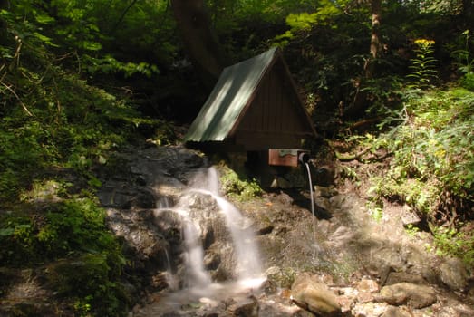 Beautiful forest brook and well with shining sun