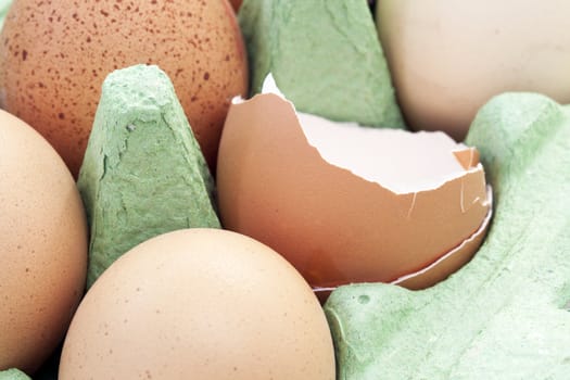 Eggs still in carton, one has been opened.