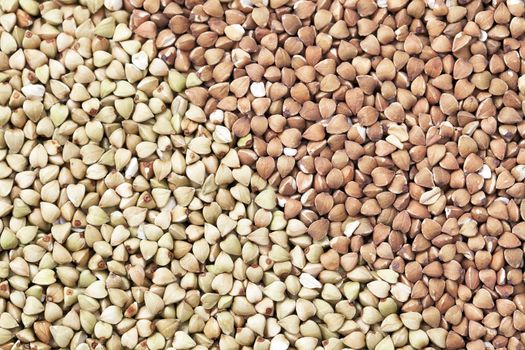 Untoasted and toasted buckwheat or kasha as a background