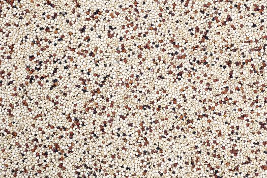 Mixed quinoa seeds filling frame for food texture or background