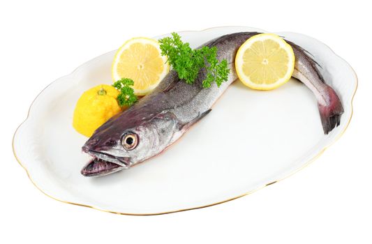 tray with raw hake and accompanied by fresh lemon and parsley isolated with clipping path included