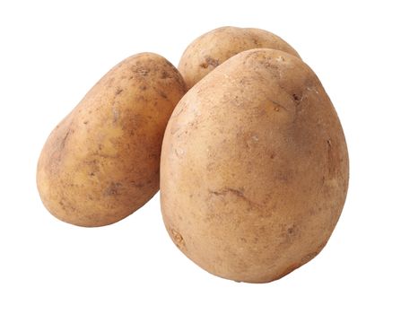 three raw potatoes freshly pulled from the ground isolated with clipping path included