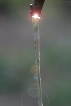 water drops