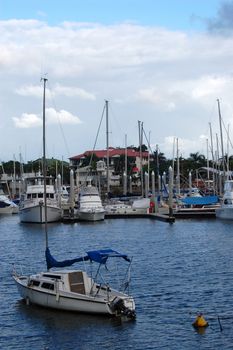 Yachts at marina, Townsville, Australia