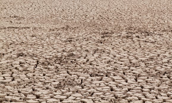 Dry cracked soil texture as a background