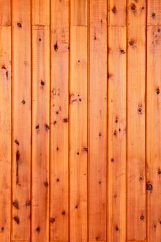 Background wood brown texture with natural patterns